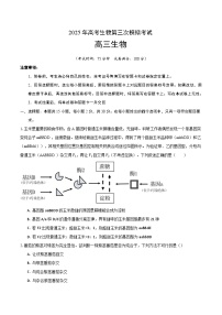 2025年高考第三次模拟考试：生物（黑吉辽蒙卷）（考试版）