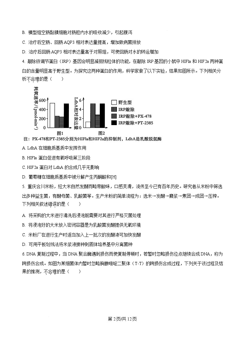 重庆市南开中学2025届高三2月第六次质量检测生物试题(原卷版)第2页
