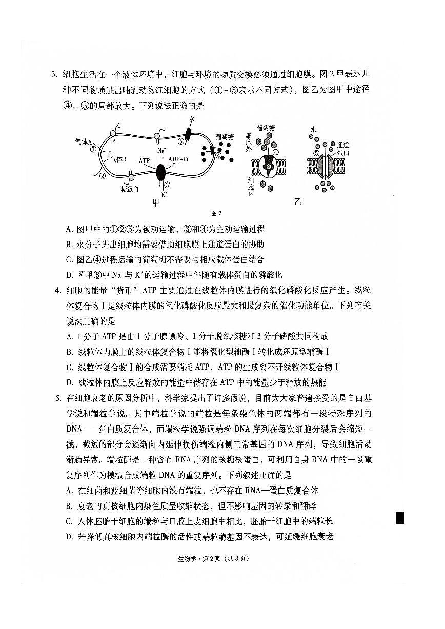 貴州省“3+3+3”2023-2024學(xué)年高考上學(xué)期備考診斷性聯(lián)考（一）試卷 生物試卷（含答案）第2頁(yè)