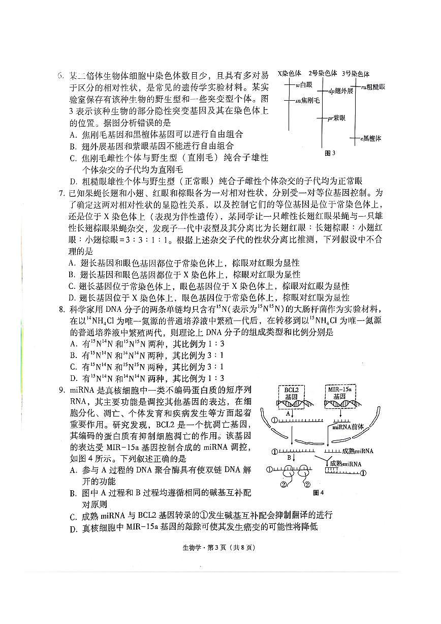 貴州省“3+3+3”2023-2024學(xué)年高考上學(xué)期備考診斷性聯(lián)考（一）試卷 生物試卷（含答案）第3頁(yè)