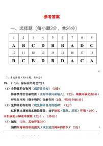 生物丨湖北省武汉市2025届高三下学期4月调研考试（武汉四调）生物试卷及答案