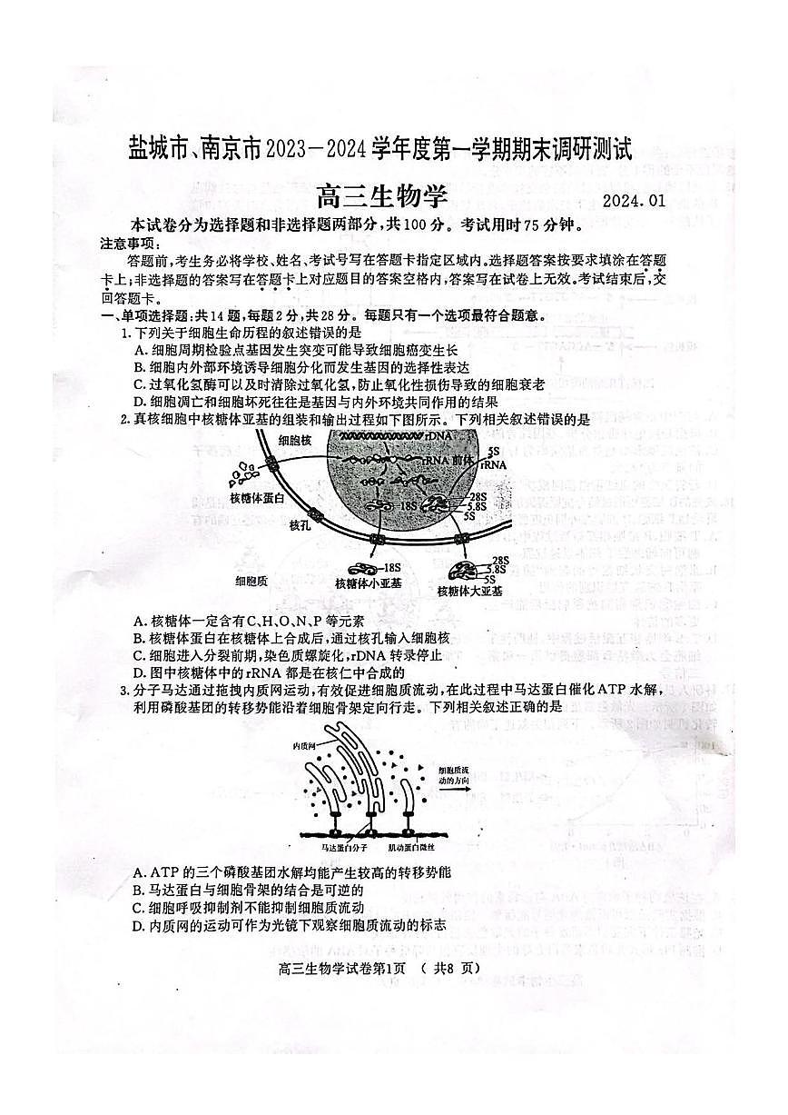 2024届江苏南京市、盐城市高三上学期第一次模拟考 生物试卷(含答案)第1页