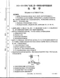 广东省部分名校2023-2024学年高二上学期期末 生物试卷（含答案）
