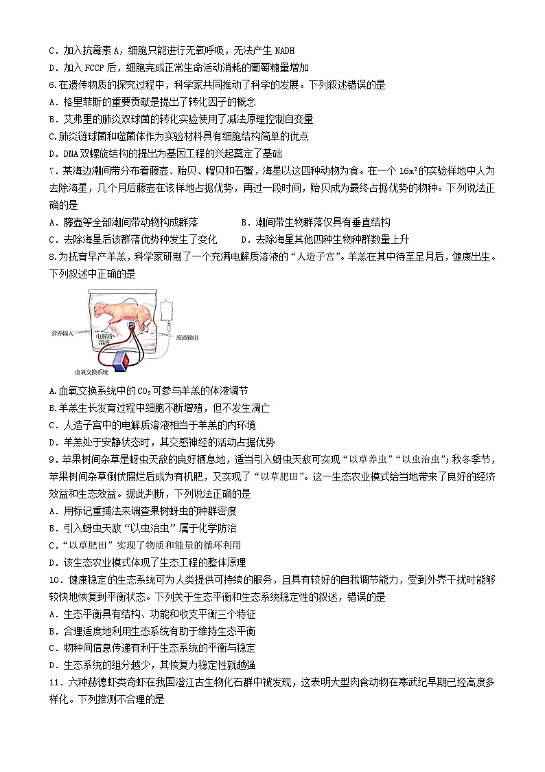 广东省2024届高三生物下学期三模试题第2页