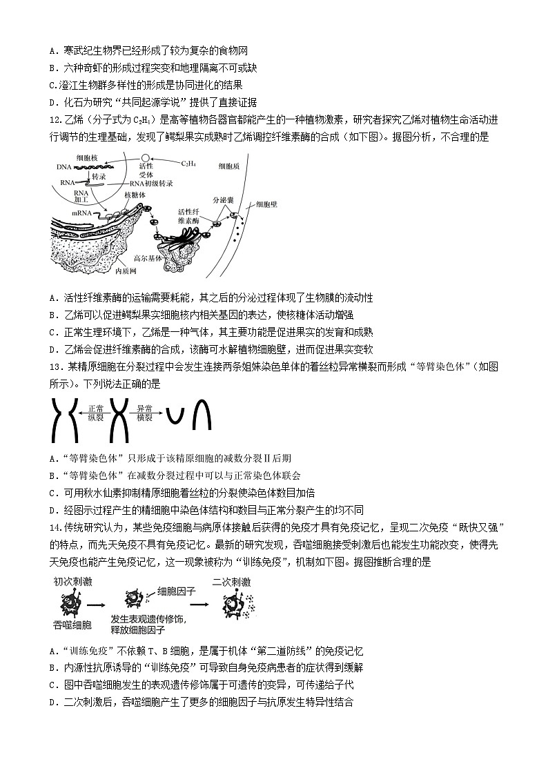 广东省2024届高三生物下学期三模试题第3页