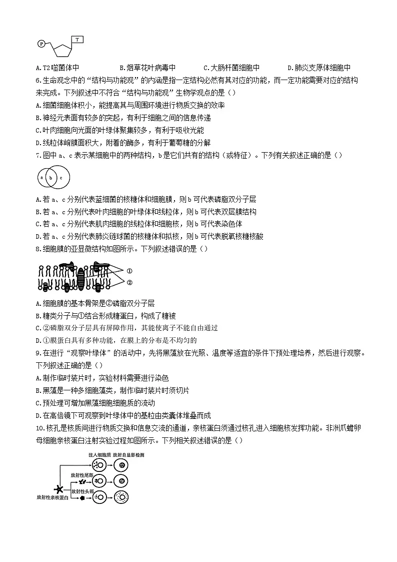 河北省保定市部分示范性高中2023_2024学年高二生物下学期5月期中试题第2页