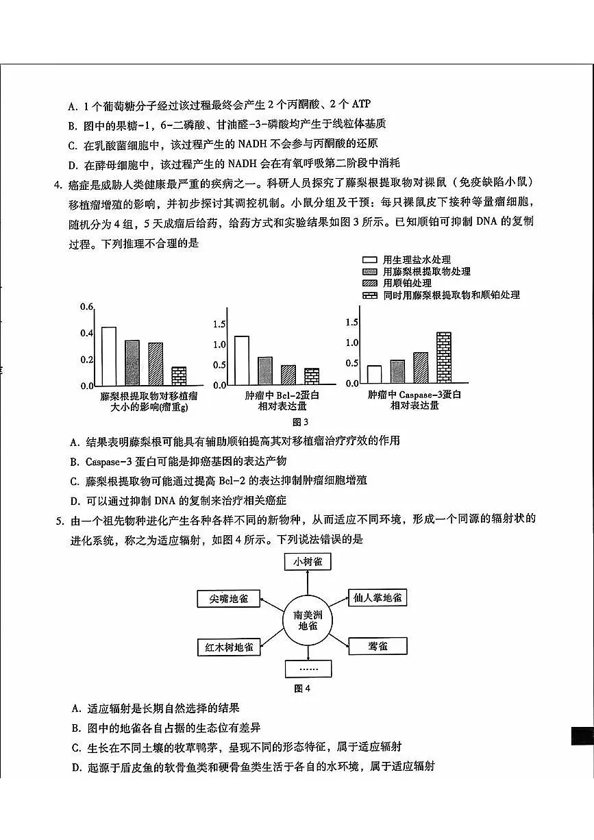 内蒙古包头市2025届高三下学期4月二模生物试卷(PDF版附答案)第2页