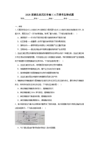 2025届湖北省武汉市高三4月调考生物试题（无答案）