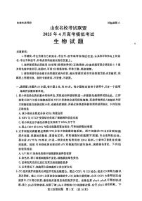 山东名校考试联盟2025届高三高考模拟模拟检测-生物试题+答案