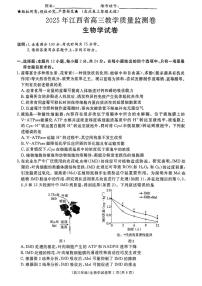 2025年江西高三下学期4月生物试题及答案