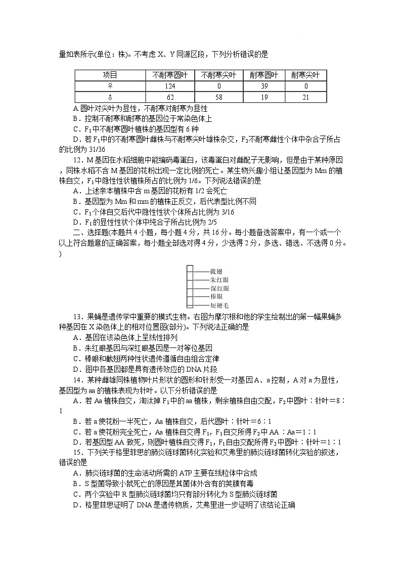 湖南省长沙市湖南师大附中2024-2025学年高一下学期4月期中生物试题 含解析第3页