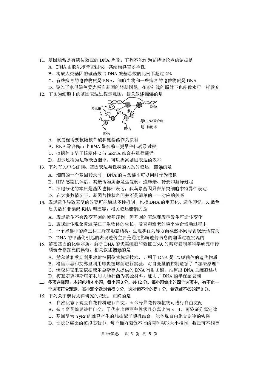 江苏省南通市2024-2025学年高一下学期期中考试生物试卷(PDF版附答案)第3页