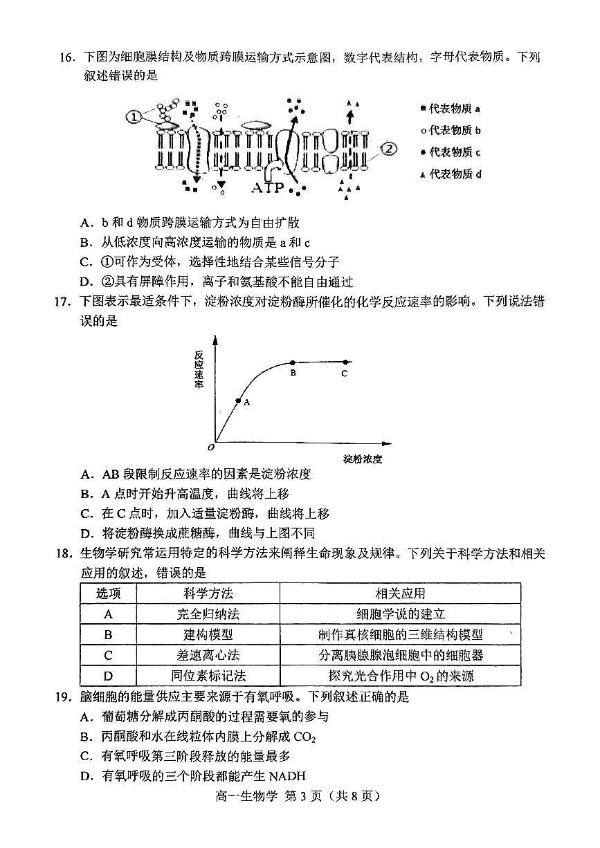河北省唐山市2023-2024学年高一上学期1月期末生物试题(含答案)第3页