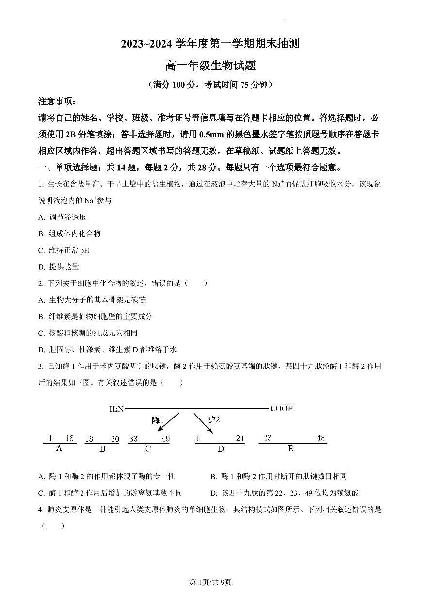 江苏省徐州市2023-2024学年高一1月期末生物试题(含答案)第1页