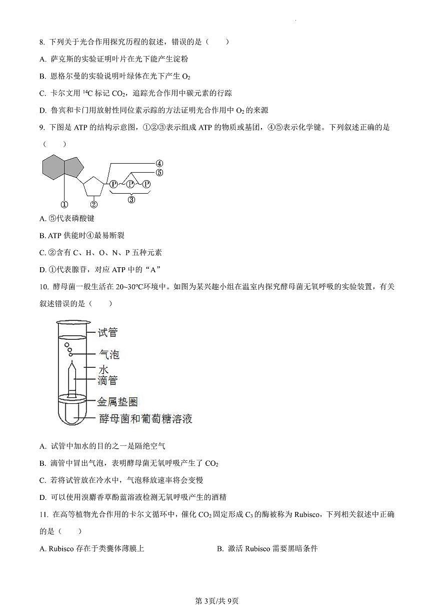 江苏省徐州市2023-2024学年高一1月期末生物试题(含答案)第3页