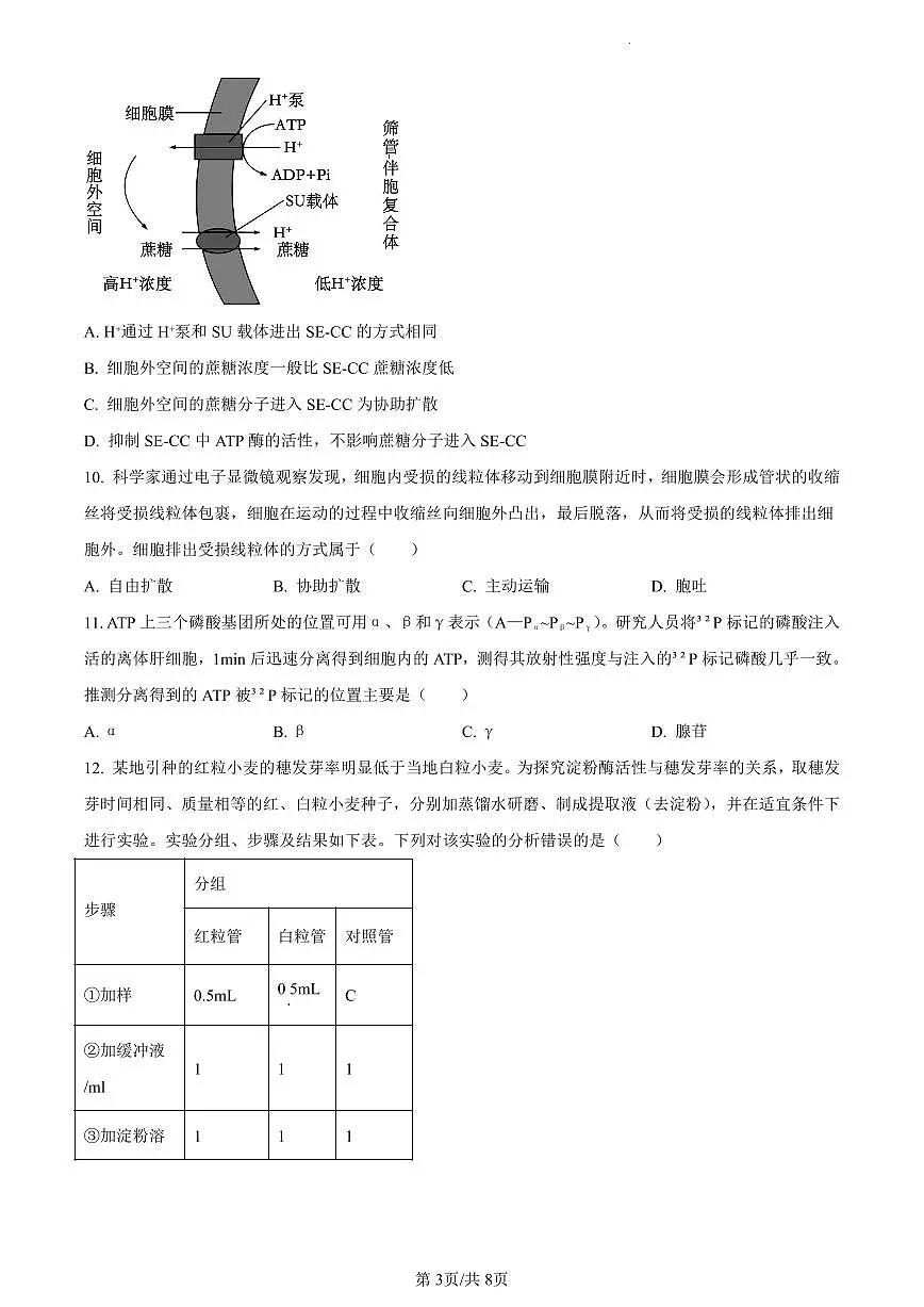 江西省吉安市2023-2024学年高一上学期期末生物试题(含答案)第3页