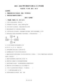 辽宁省朝阳市建平县实验中学2023-2024学年高一12月月考生物试题（含答案）