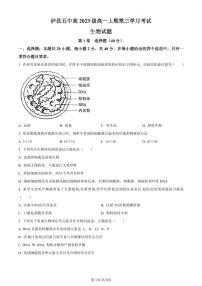 四川省泸州市泸县五中2023-2024学年高一12月月考生物试题(含答案)