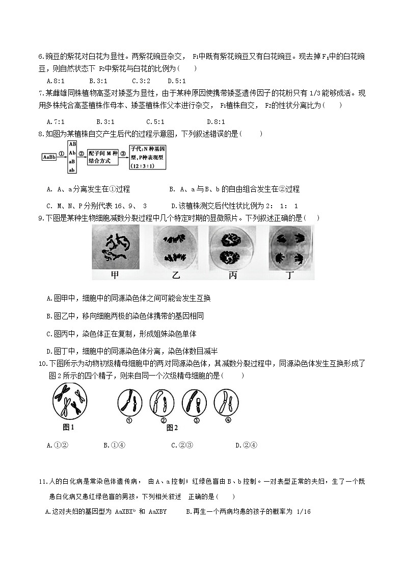 福建省漳州第一中学2024-2025学年高一下学期4月月考生物试卷(Word版附答案)第2页