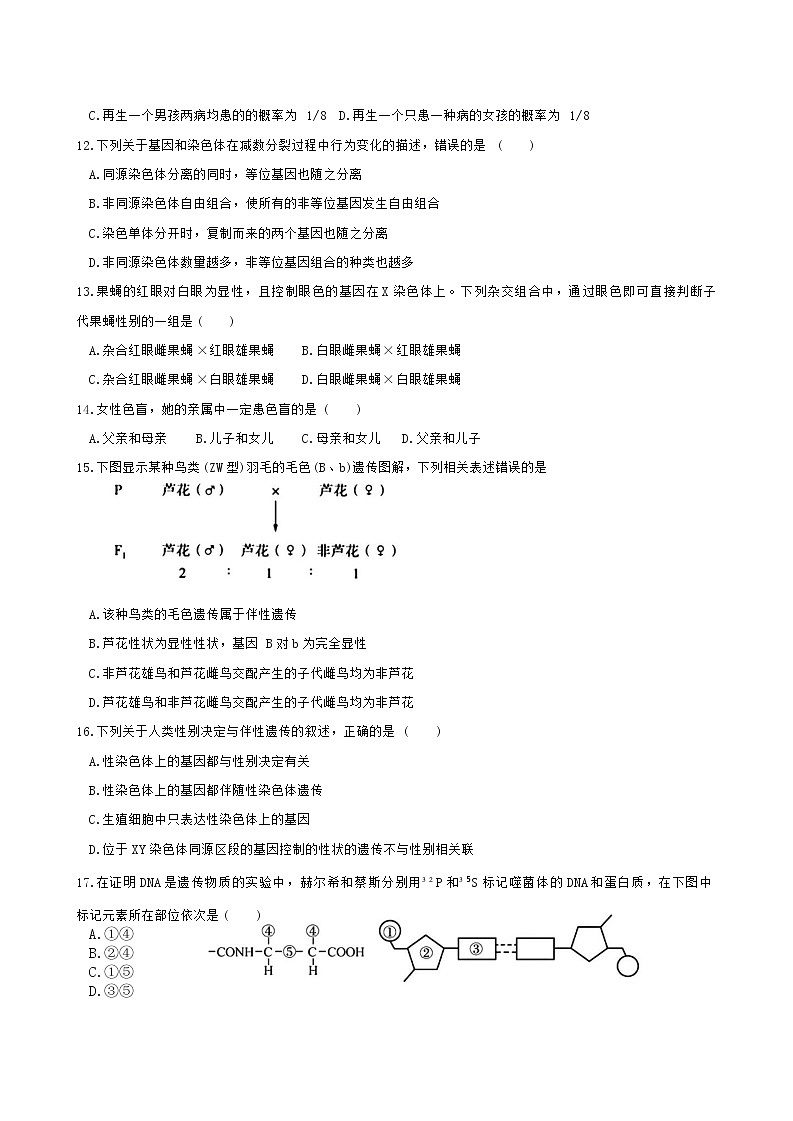 福建省漳州第一中学2024-2025学年高一下学期4月月考生物试卷(Word版附答案)第3页
