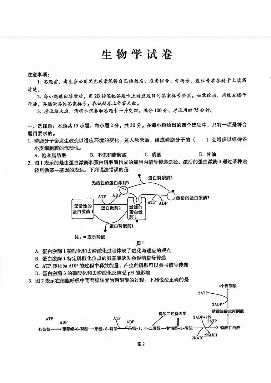 生物丨内蒙古包头市2025届高三下学期4月第二次模拟生物试卷及答案第1页