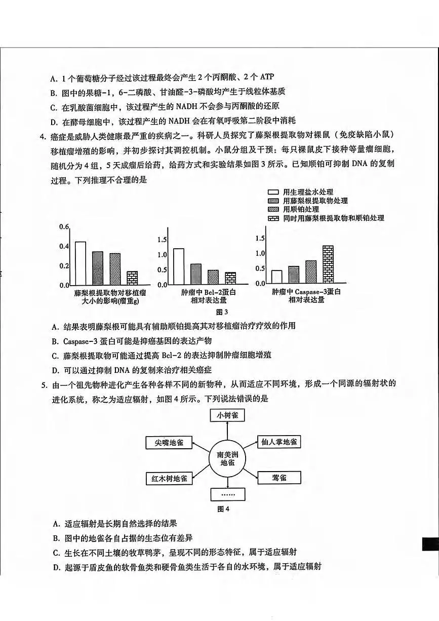 生物丨内蒙古包头市2025届高三下学期4月第二次模拟生物试卷及答案第2页