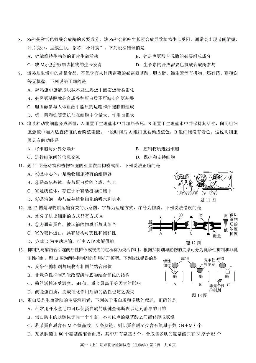 重庆康德2023年秋高一(上)期末联合检测试卷生物试题(含答案)第2页