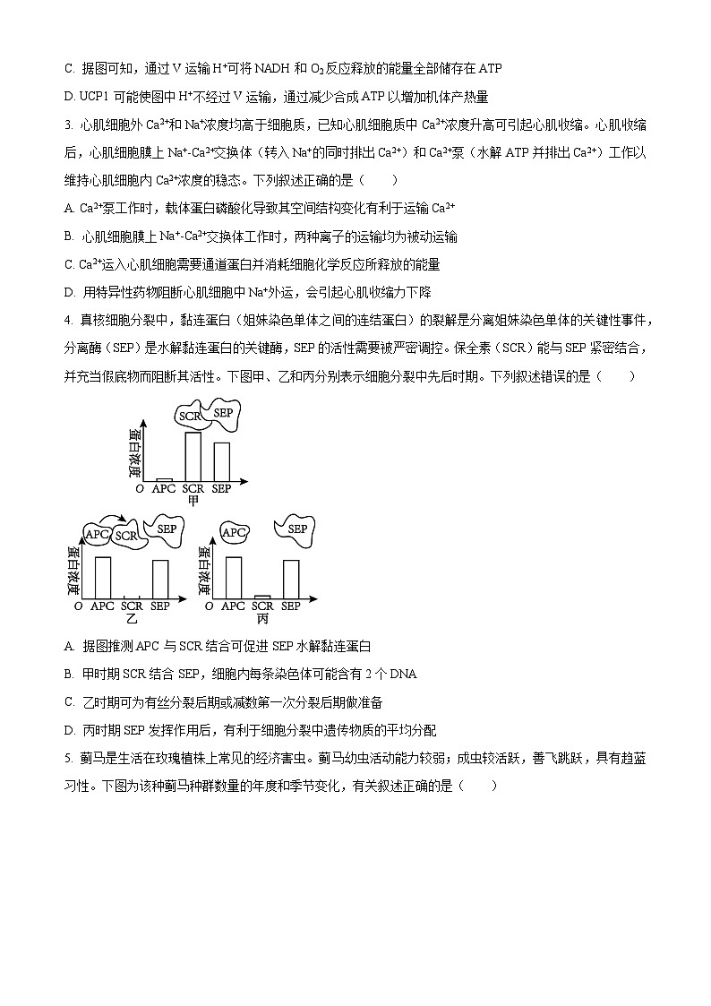 2025届安徽省皖北协作体高三一模考试生物题(原卷版)第2页
