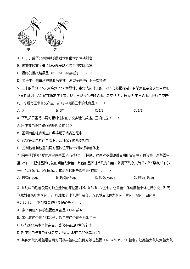 河北省邯郸市2024-2025学年高一下学期3月月考生物试题 Word版无答案第2页