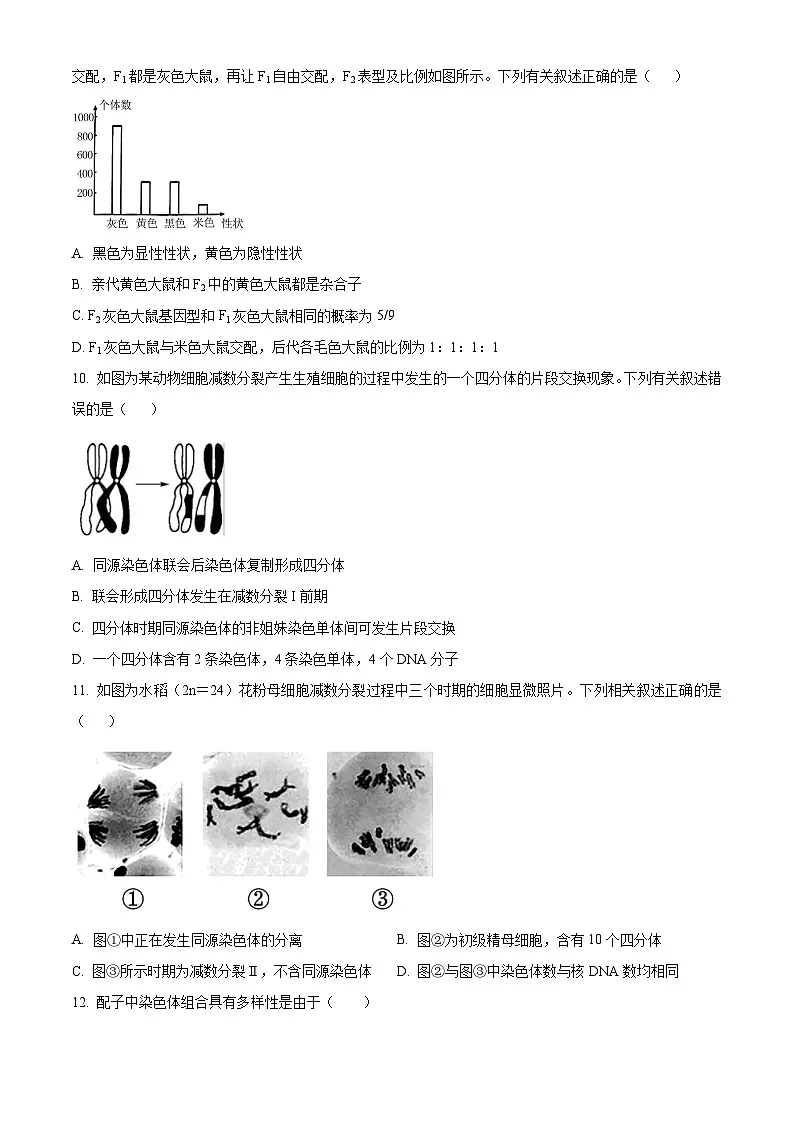 河北省邯郸市2024-2025学年高一下学期3月月考生物试题 Word版无答案第3页