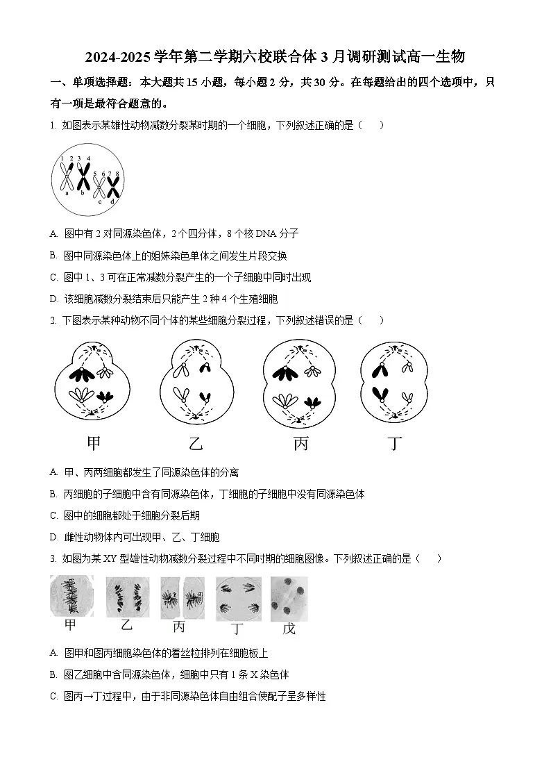 江苏省南京市六校2024-2025学年高一下学期3月月考生物试卷 Word版无答案第1页