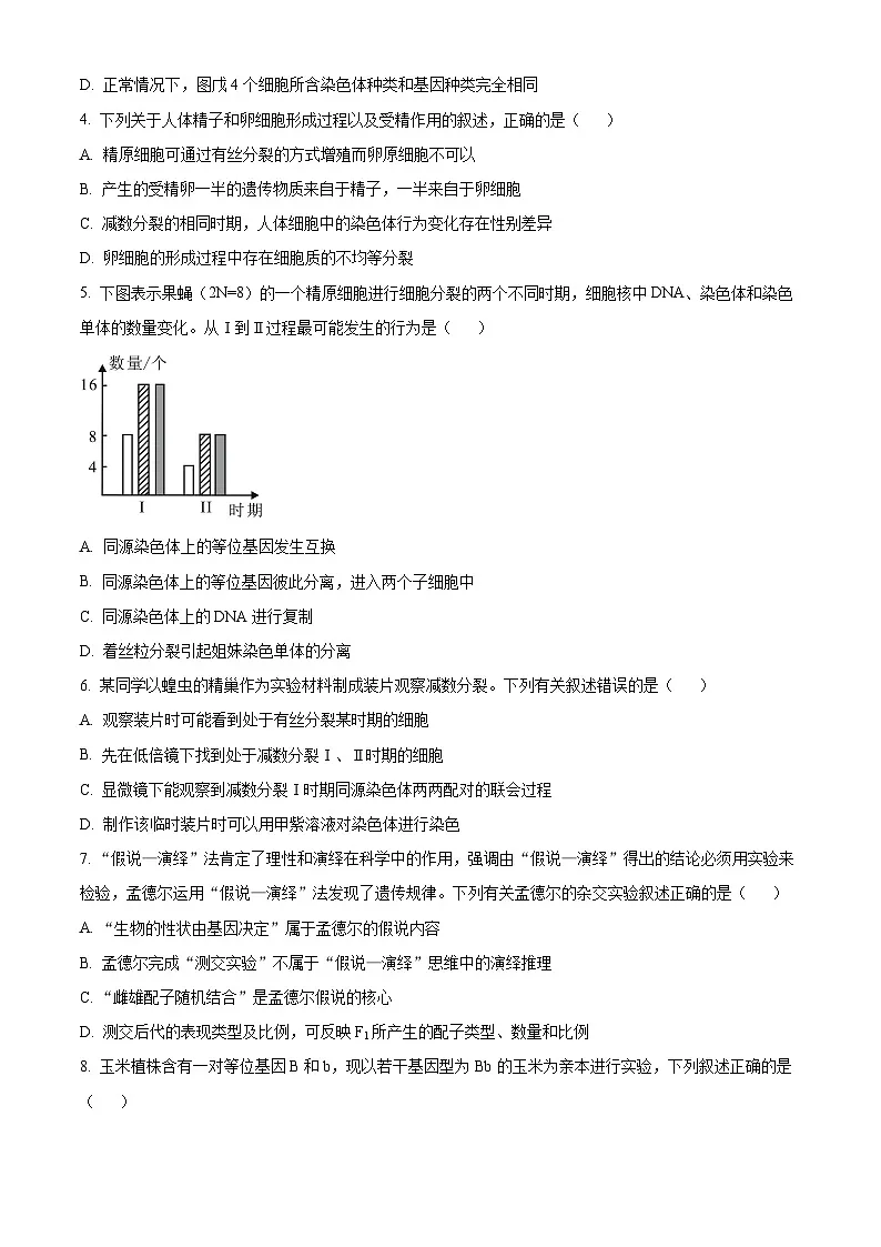 江苏省南京市六校2024-2025学年高一下学期3月月考生物试卷 Word版无答案第2页