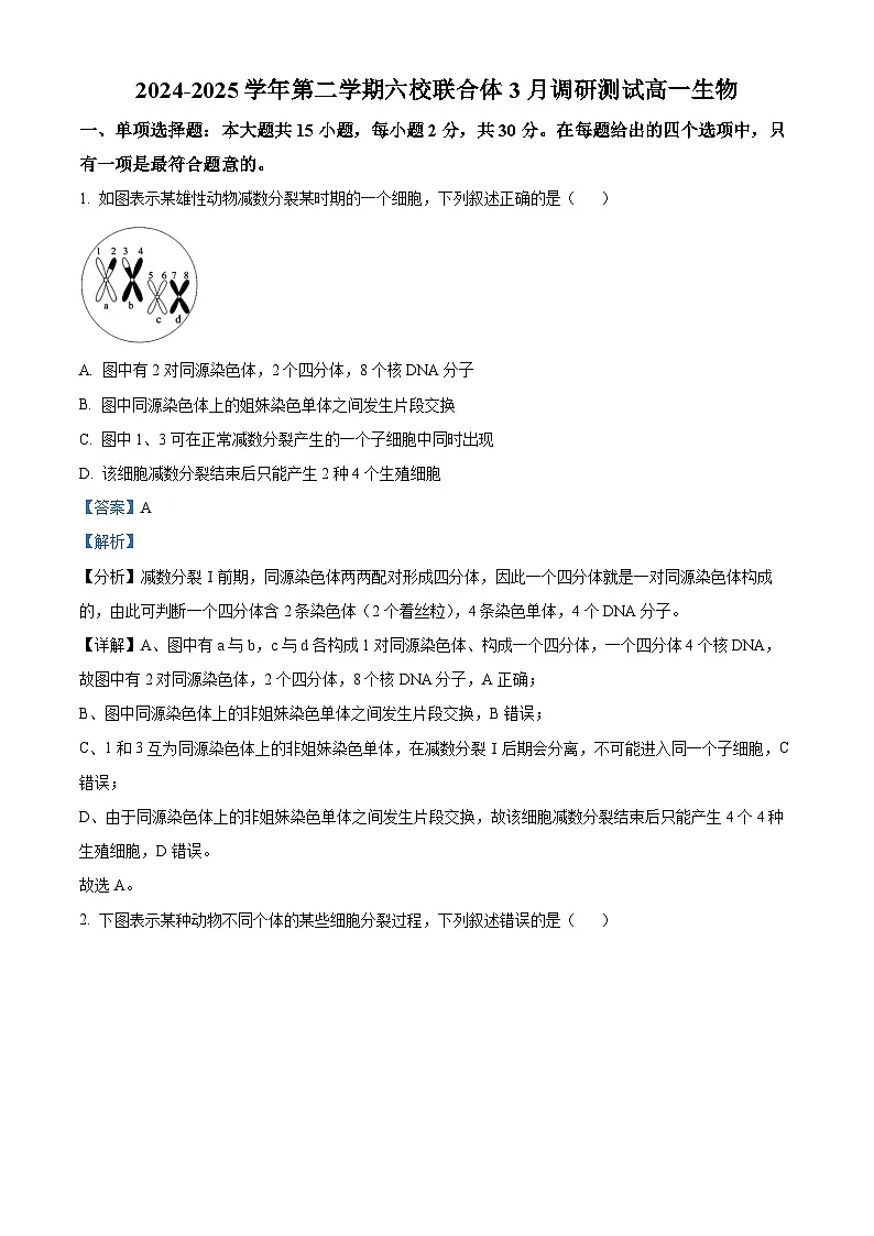 江苏省南京市六校2024-2025学年高一下学期3月月考生物试卷 Word版含解析第1页