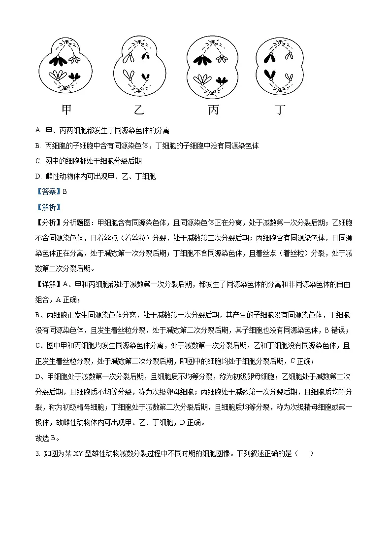 江苏省南京市六校2024-2025学年高一下学期3月月考生物试卷 Word版含解析第2页