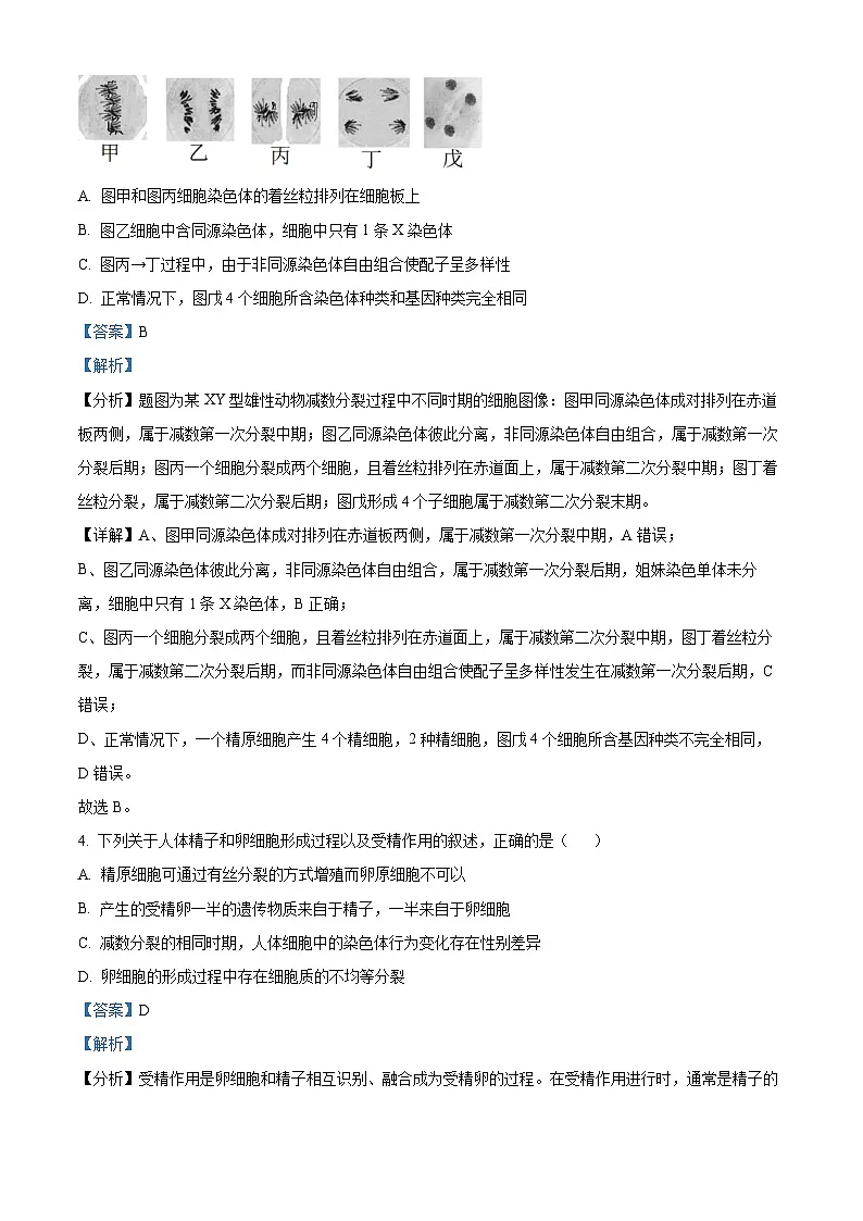 江苏省南京市六校2024-2025学年高一下学期3月月考生物试卷 Word版含解析第3页