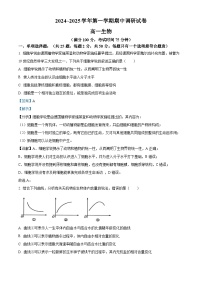 江苏省宿迁市2024-2025学年高一上学期11月期中考试生物试卷（Word版附解析）