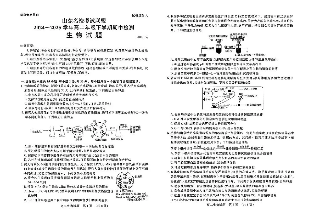 山东名校考试联盟2024-2025学年高二下学期生物期中试卷第1页