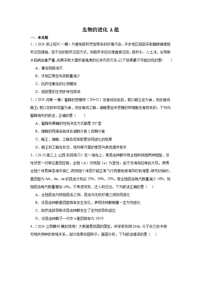 人教版(2019)高中生物必修二《遗传与进化》第6章生物的进化6.5《章末复习》-分层作业A组(原卷版)第1页