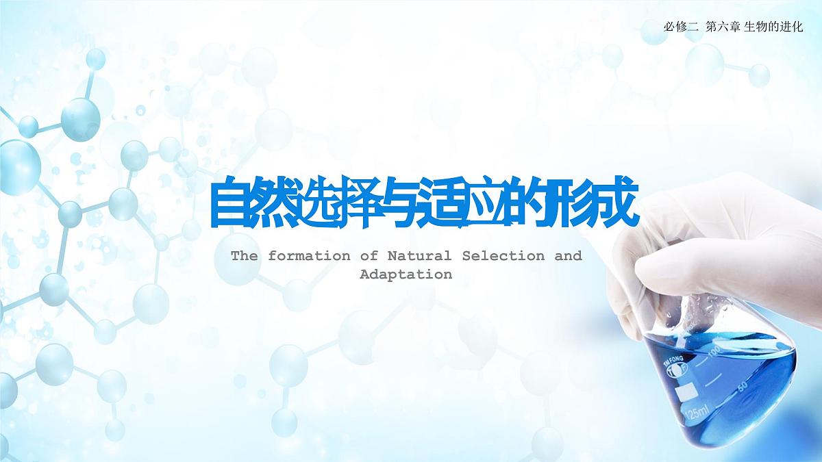 人教版(2019)高中生物必修二《遗传与进化》第6章生物的进化6.5《章末复习》-课件第4页
