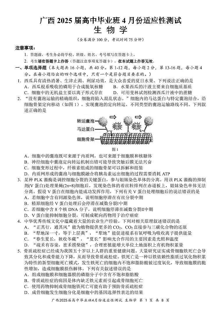 生物丨广西壮族自治区2025届高三下学期4月高中毕业班适应性测试(跨市三模)生物试卷及答案第1页