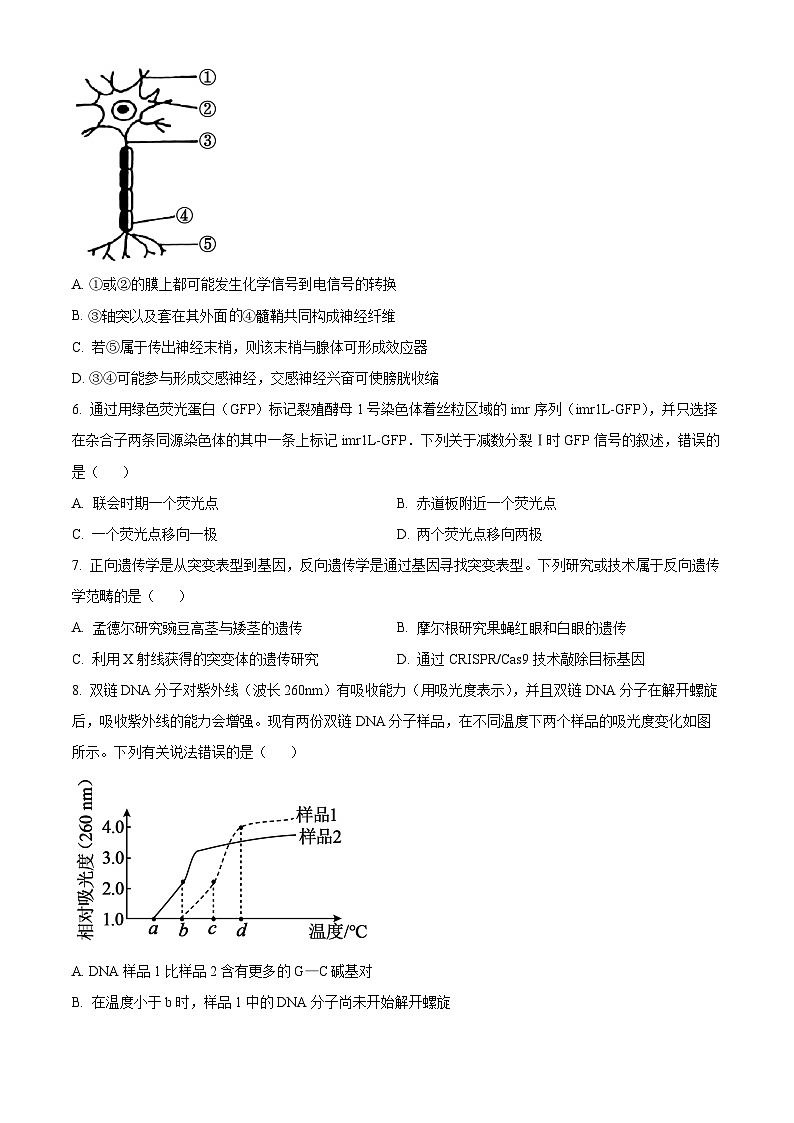 2025届甘肃省白银市靖远县第一中学高三下学期模(高考模拟)拟预测生物试题(原卷版+解析版)第2页