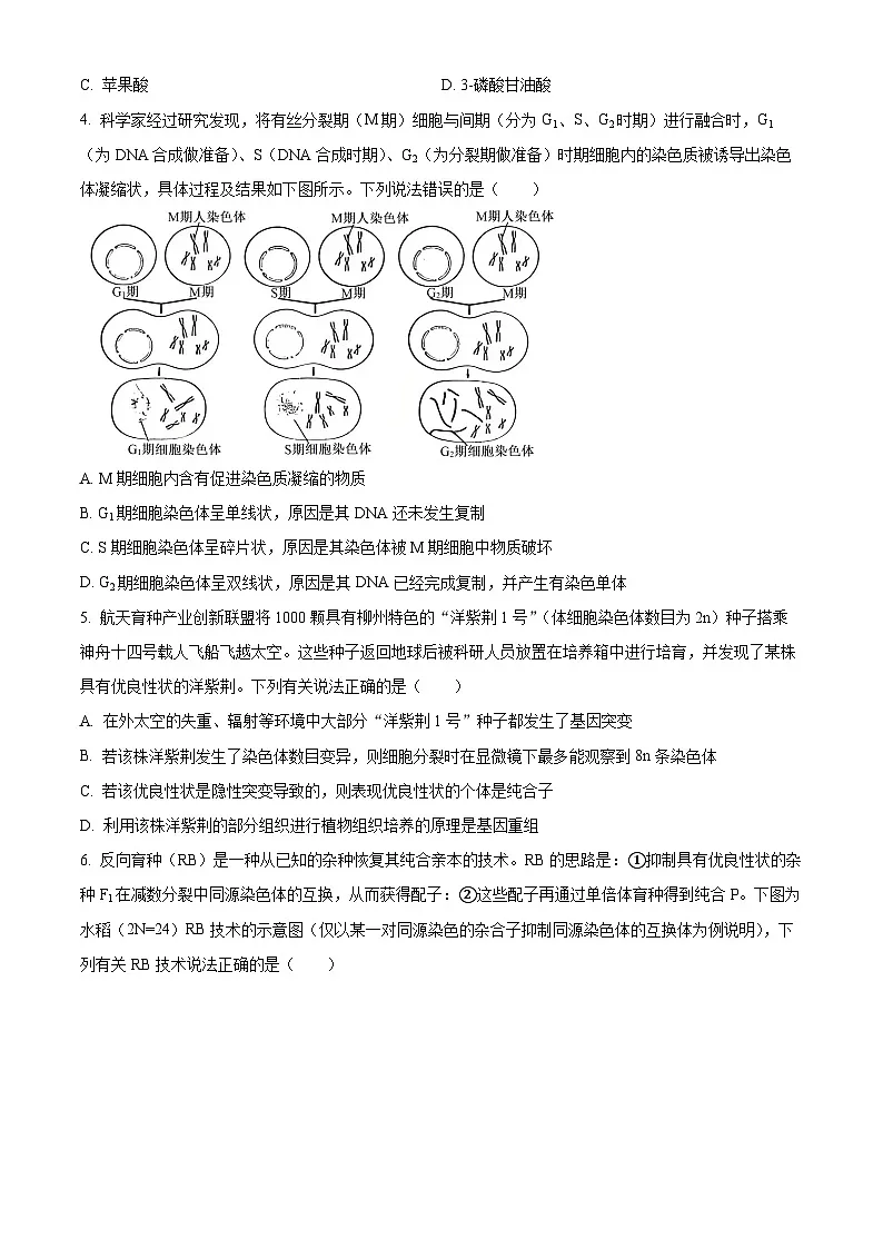 2025届广西壮族自治区来宾市高三下学期4月二模(高考模拟)生物试题(原卷版+解析版)第2页