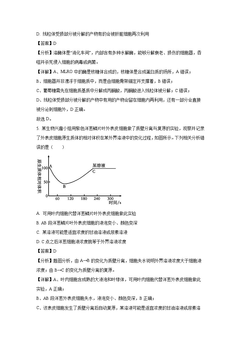 安徽省A10联盟2024-2025学年高一下学期3月阶段考生物试题(解析版)第3页
