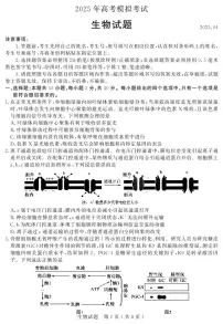 2025届山东省济宁市高三二模考试 生物试题及答案