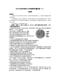 2024届辽宁省沈阳市高中三年级教学质量监测（一）生物试卷（含答案）