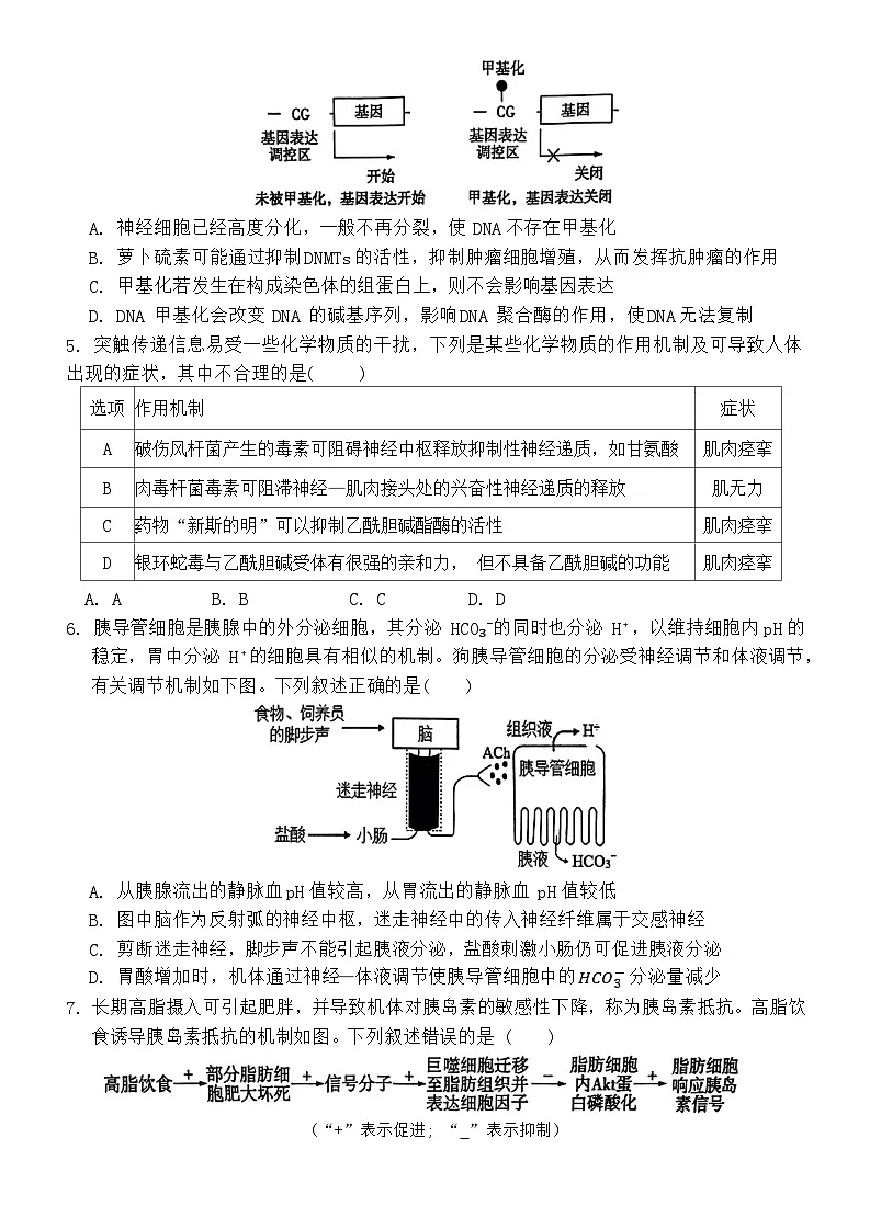 安徽省六安第一中学2024届高三上学期第五次月考生物试卷(含答案)第2页