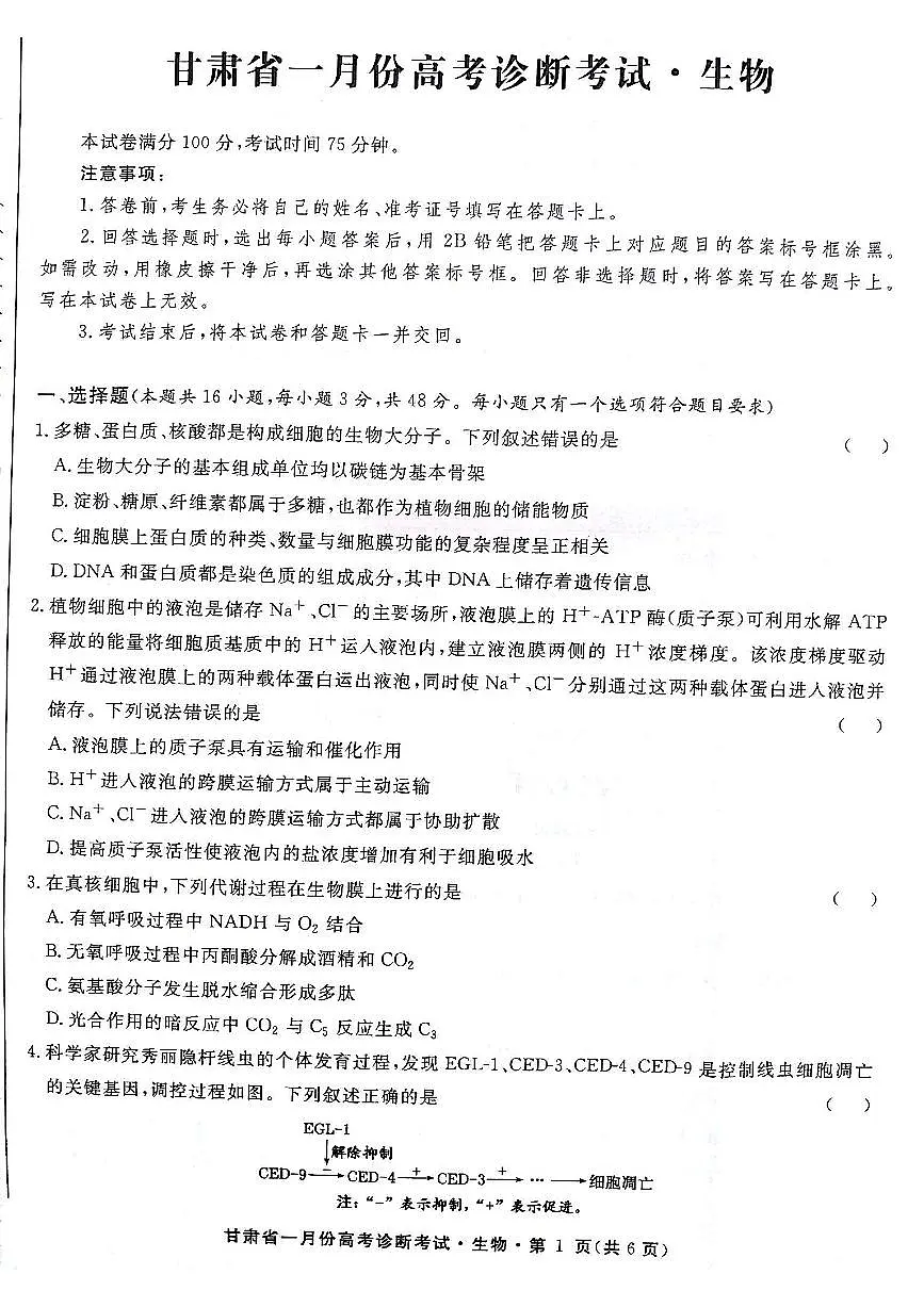 甘肃省2024届高三上学期1月份高考诊断考试(甘肃一诊)生物试卷(含答案)第1页