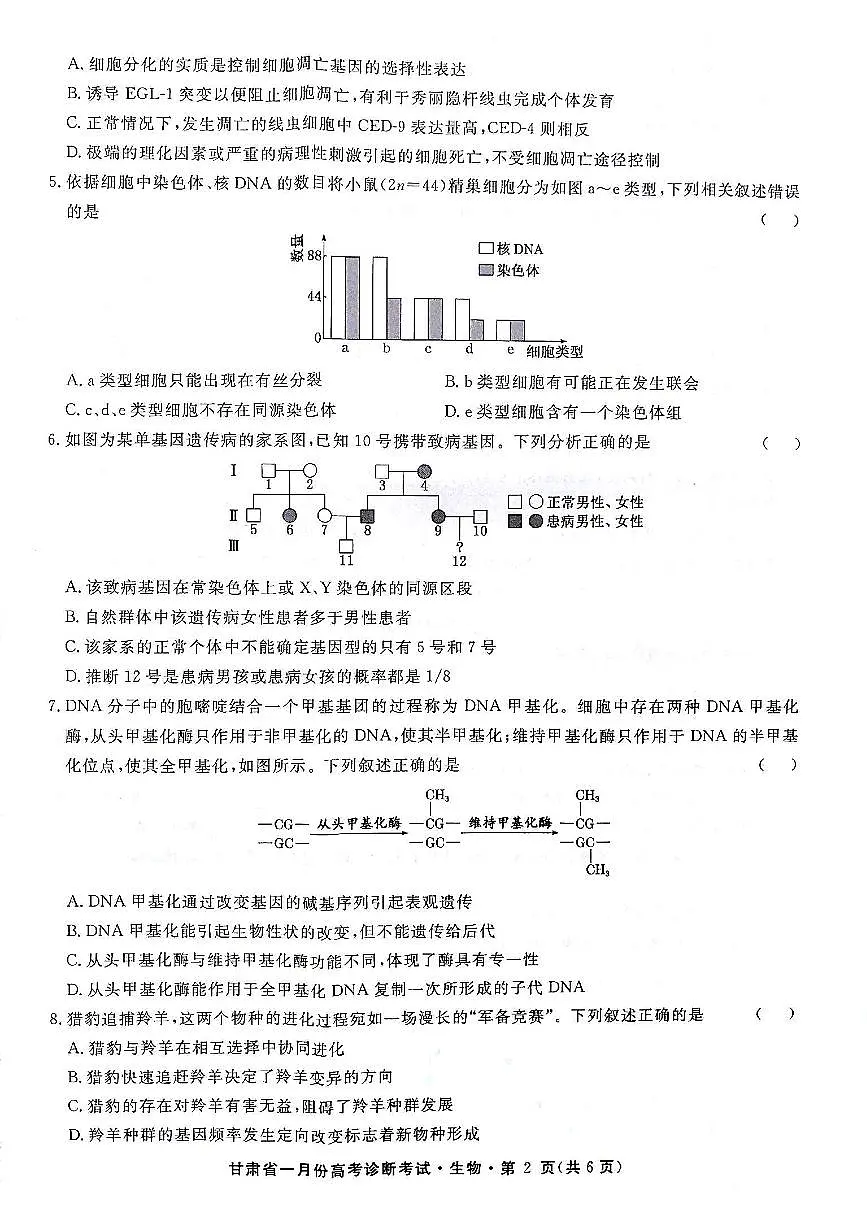 甘肃省2024届高三上学期1月份高考诊断考试(甘肃一诊)生物试卷(含答案)第2页