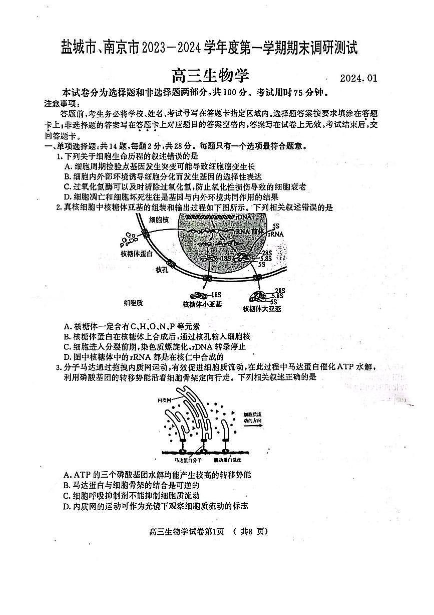 江苏省盐城市、南京市2023一2024学年高三上学期期末调研测试生物试卷(含答案)第1页