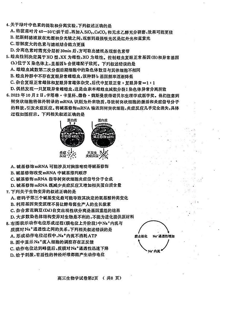 江苏省盐城市、南京市2023一2024学年高三上学期期末调研测试生物试卷(含答案)第2页
